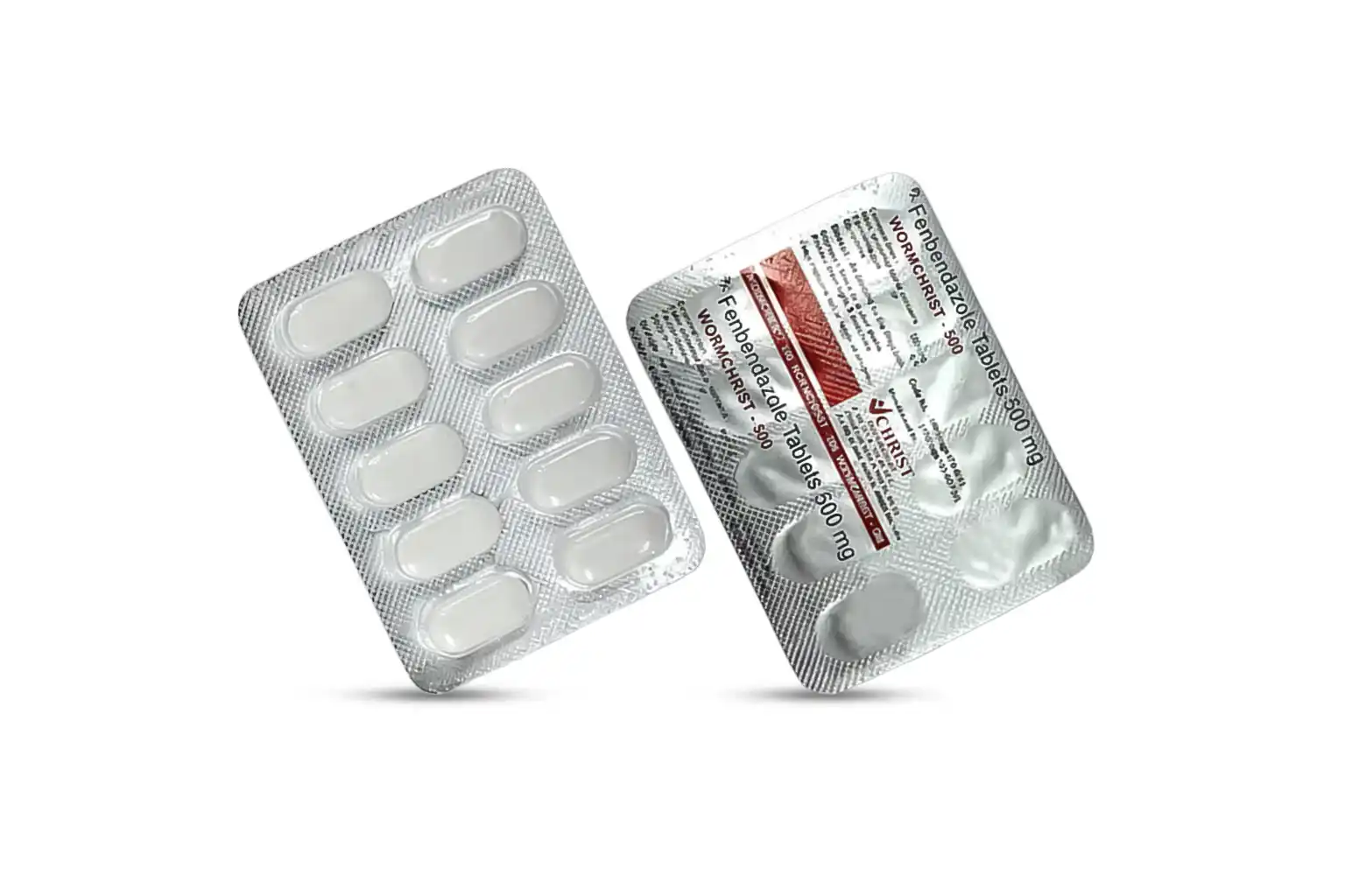 WORMCHRIST 500 MG - Image 2