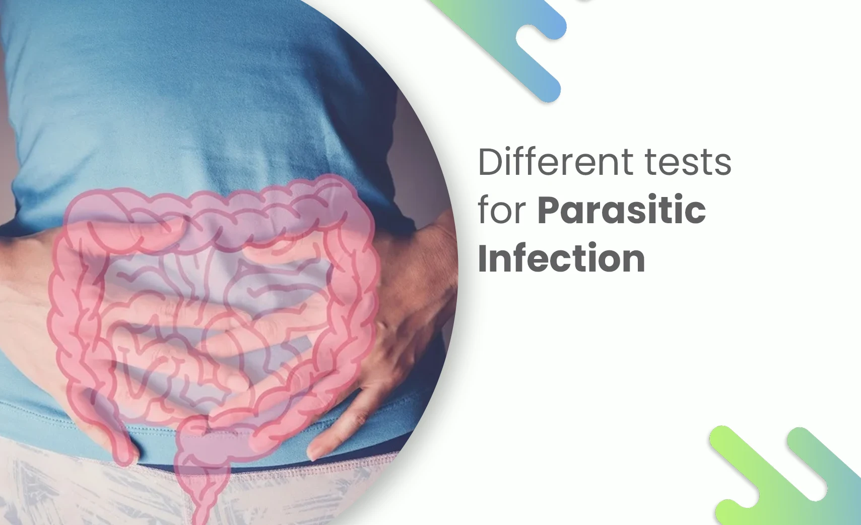 Person holding stomach showing intestinal diagram indicating parasitic infection.