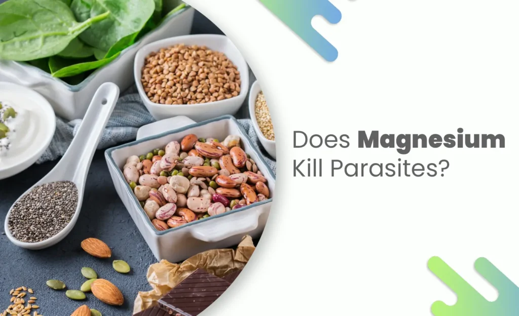 Foods rich in magnesium that help support the body against parasites displayed on a table