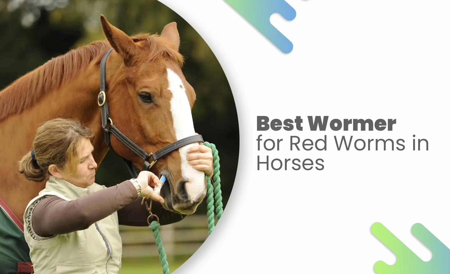 Best wormer for red worms in horses