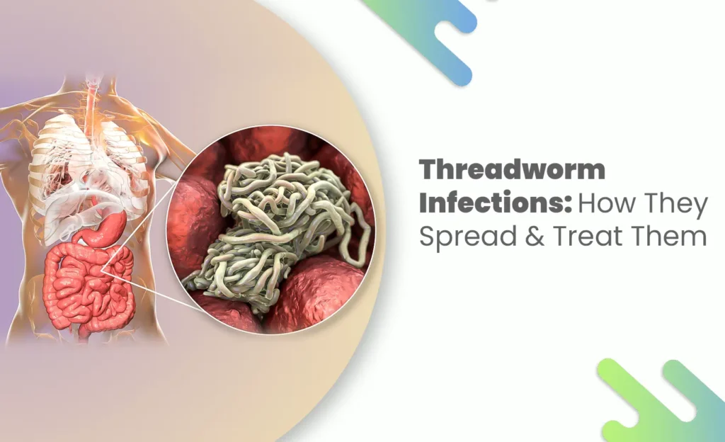 Threadworm infection inside human intestines illustration