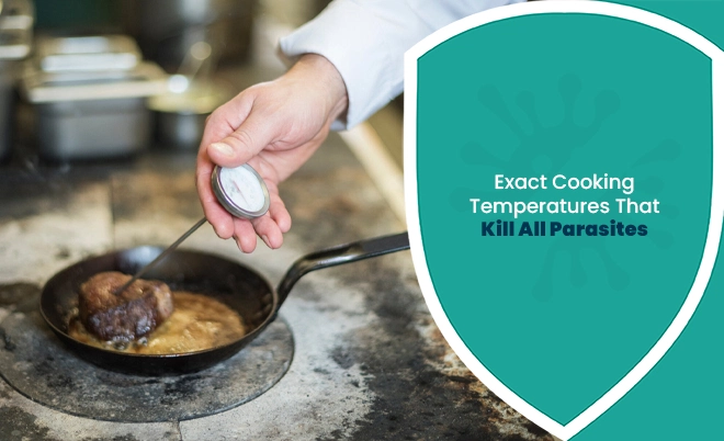 Cooking temperatures to kill parasites: chef checks steak internal temp with meat thermometer