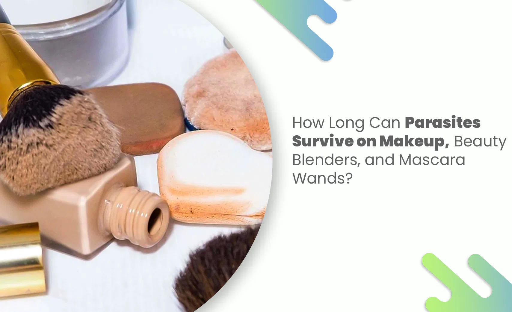 Used makeup tools like brushes and sponges showing risk of parasites on cosmetics