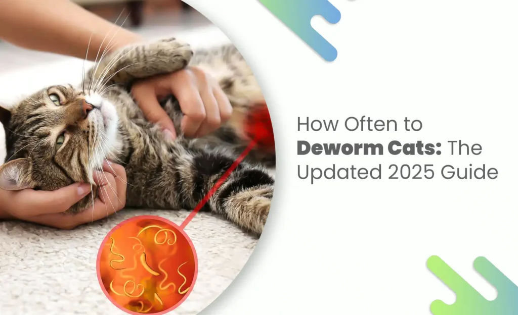 Person holding a relaxed cat with a graphic showing intestinal worms for a deworming guide