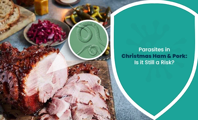 Parasites in Christmas ham and pork explained with modern food safety context