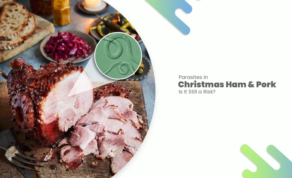 Parasites in Christmas ham and pork explained with modern food safety context