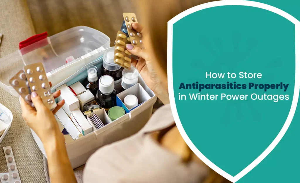 Antiparasitics stored safely in a medicine box during winter power outages