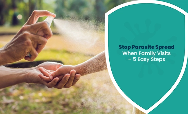 Adult spraying sanitizer on child's hands to prevent parasites during family visits