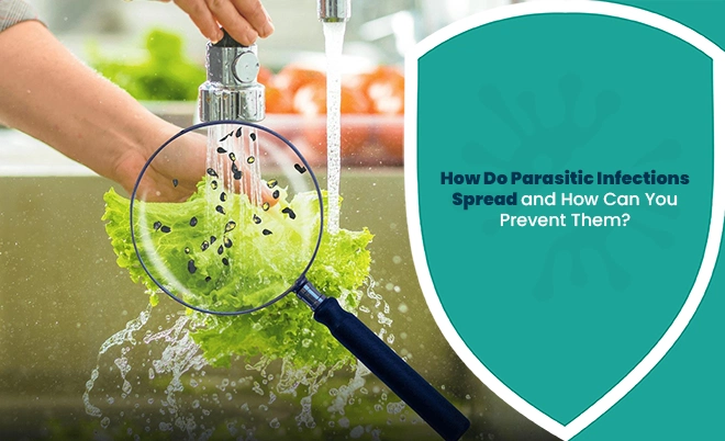 Parasitic infections spread through contaminated food and water and ways to prevent exposure