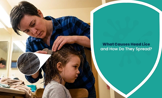 Head lice inspection showing a parent checking a child’s hair for head lice