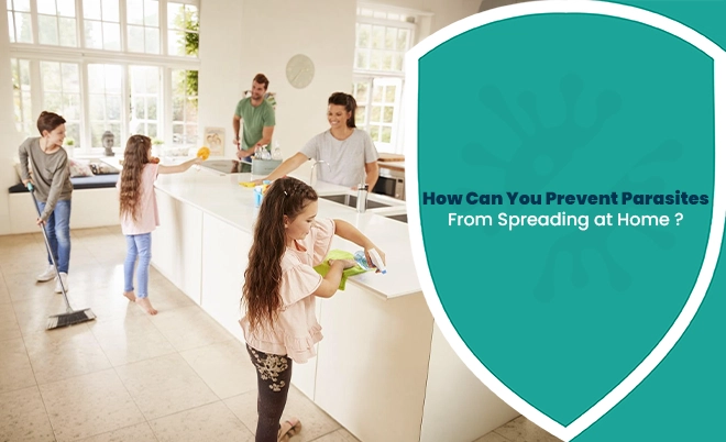 Prevent parasites from spreading at home with proper family hygiene and cleaning