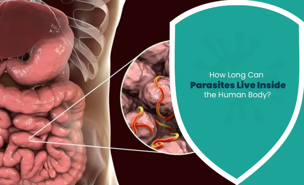 Parasites living inside the human body and their potential lifespan