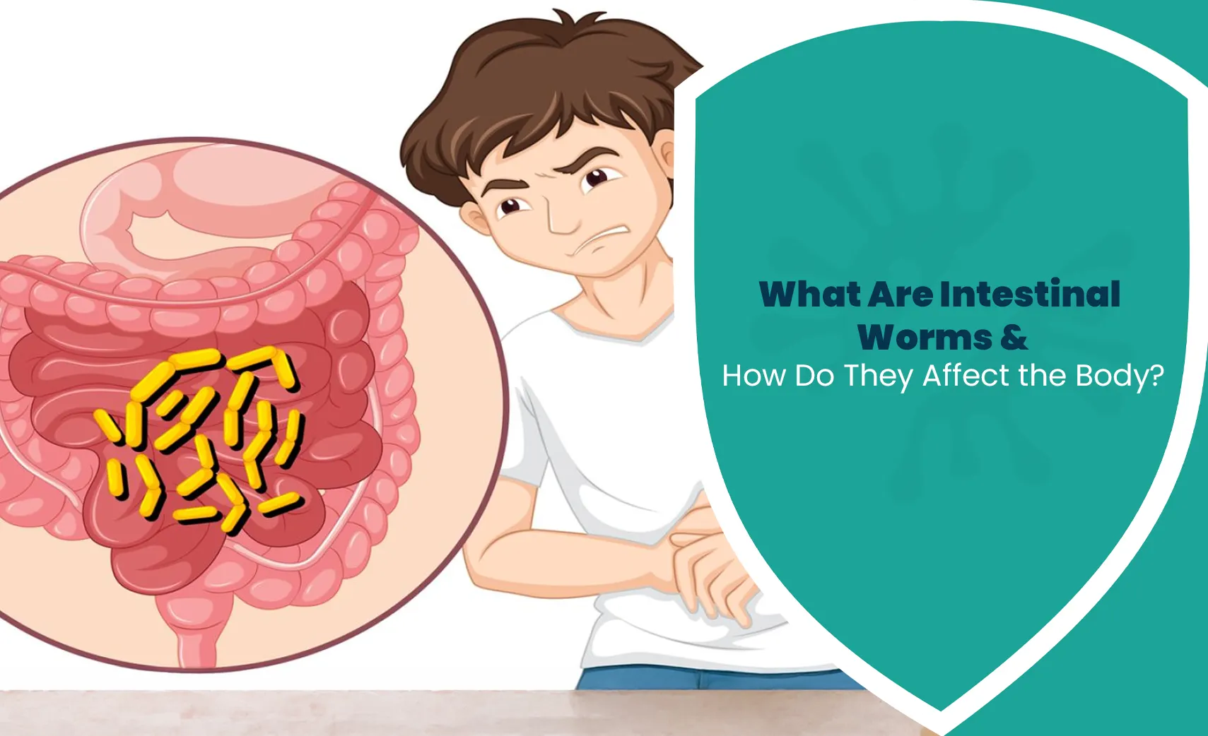 Intestinal worms affecting the digestive system and body