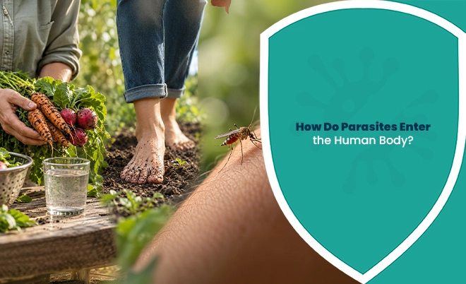 Parasites entering the human body through raw vegetables, water, bare feet on soil, and a mosquito bite
